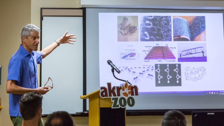 ECHO18 Featured Topic: Biomimicry