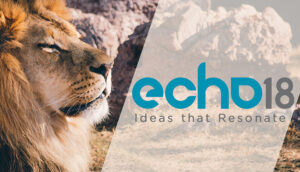 Lion on echo 18 logo