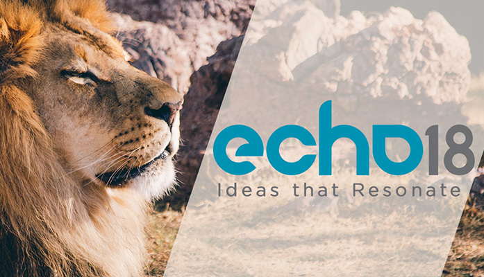 Lion on echo 18 logo