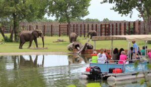 Boat ride through Elephant exhibit