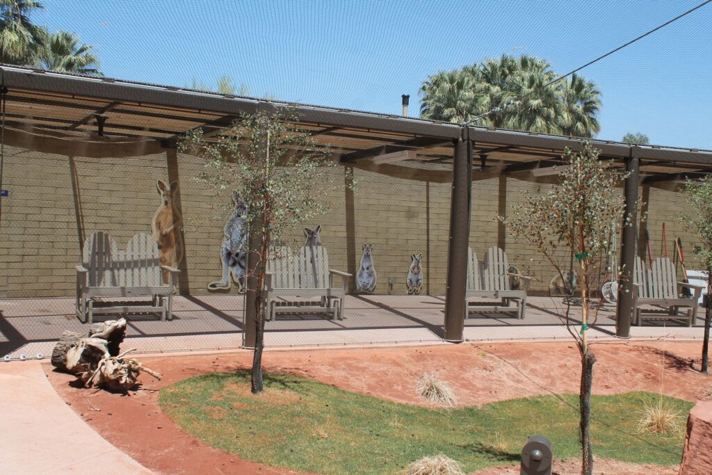 Living Desert Blog Image