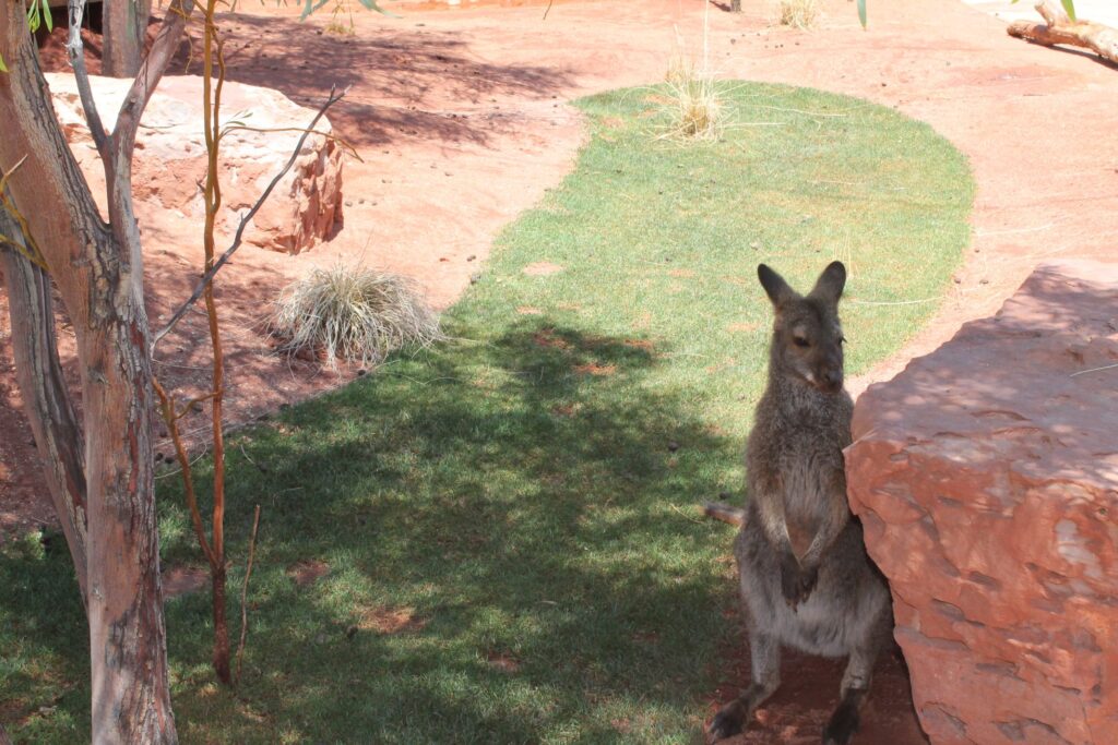 Living Desert Blog Image