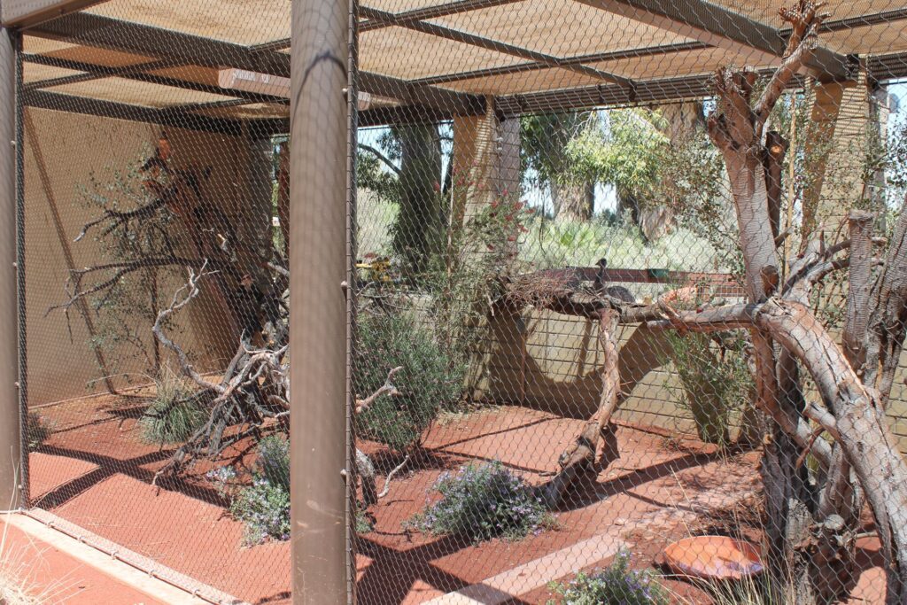 Living Desert Blog Image