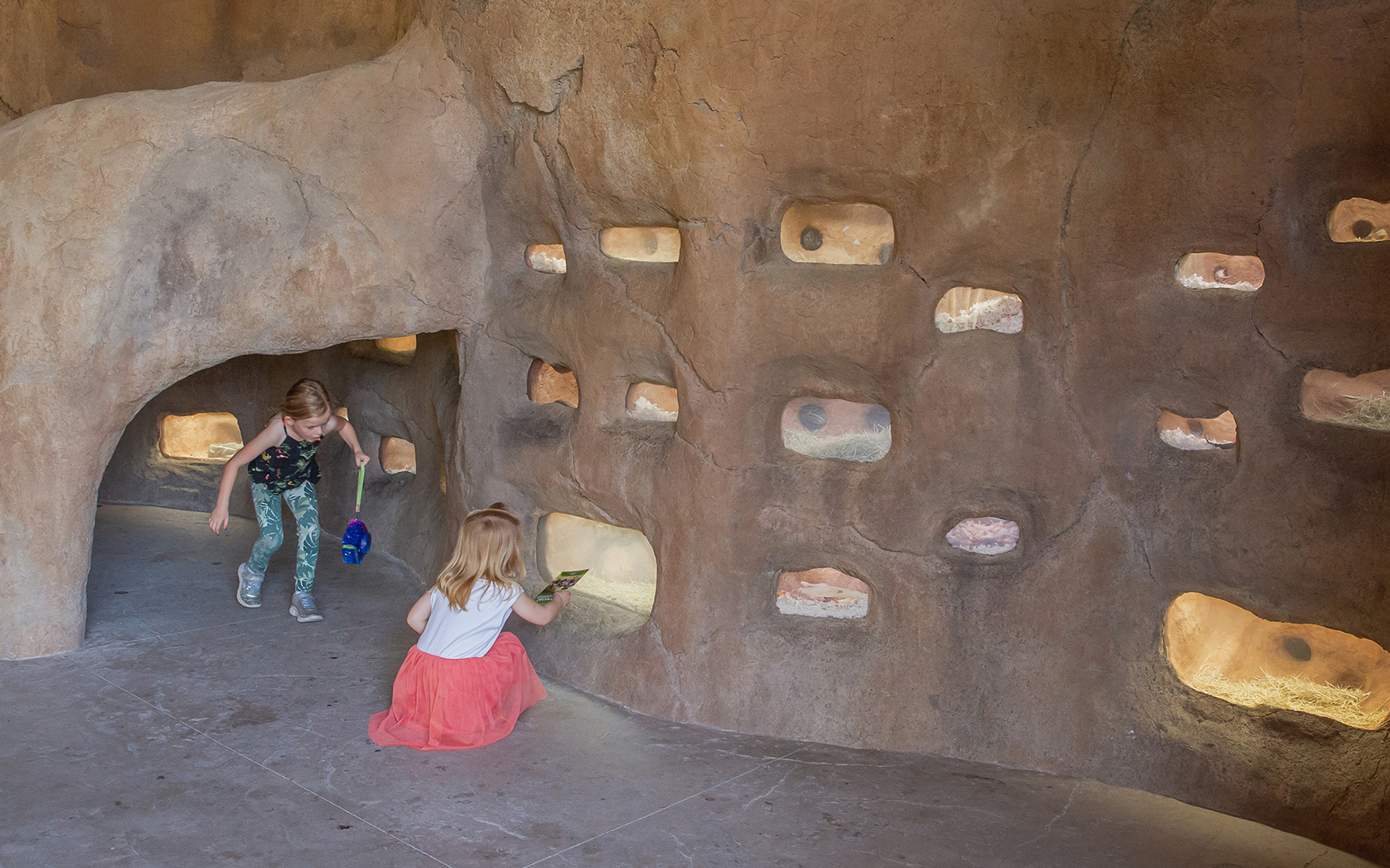 Living Desert Zoo and Gardens | Rhino Savanna