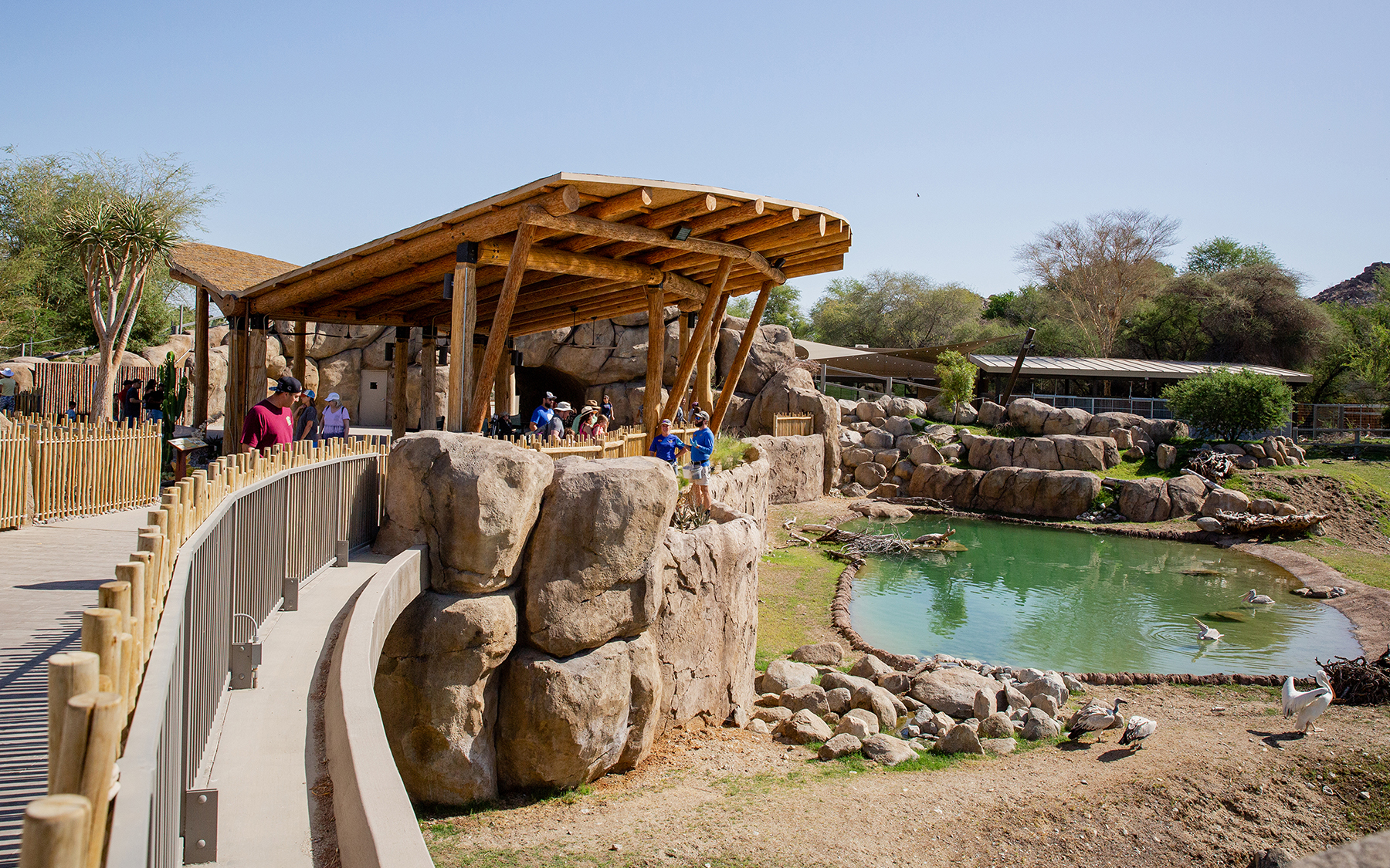 Living Desert Zoo and Gardens | Rhino Savanna