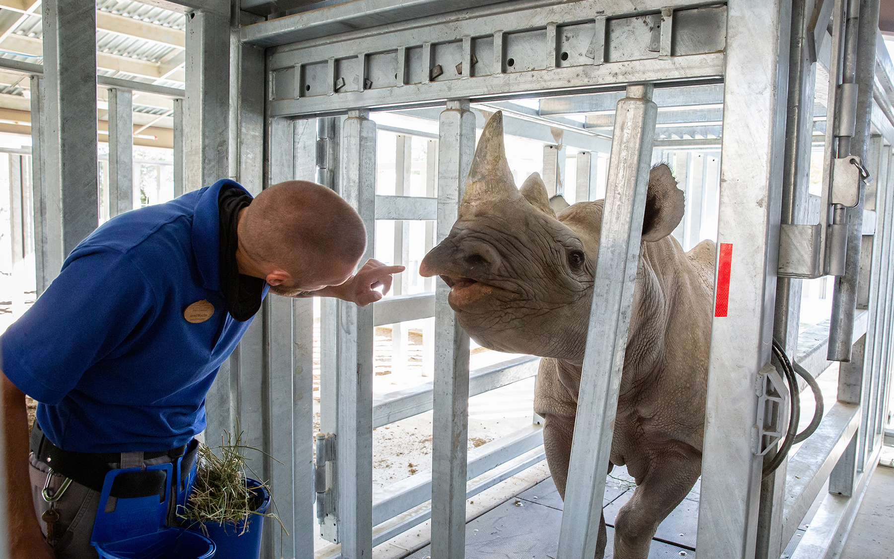 Living Desert Zoo and Gardens | Rhino Savanna
