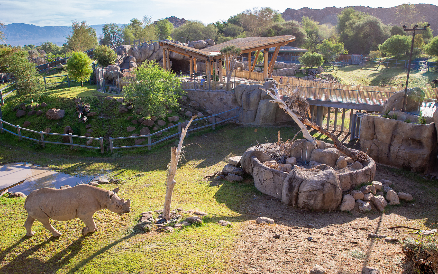 Living Desert Zoo and Gardens | Rhino Savanna