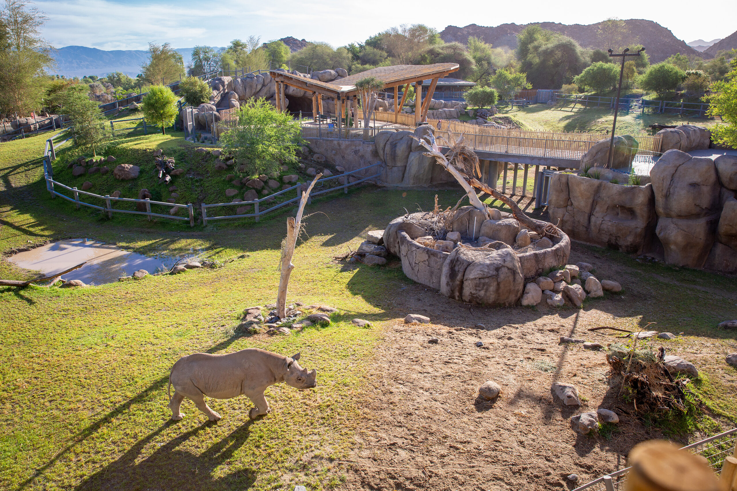 Facts About The Living Desert Zoo and Gardens in Palm Desert