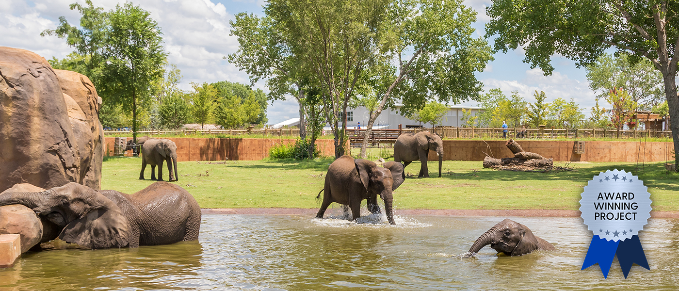 A multiple award winning exhibit - Elephants of the Zambezi River located at the Sedgwick County Zoo in Wichita, Kansas
