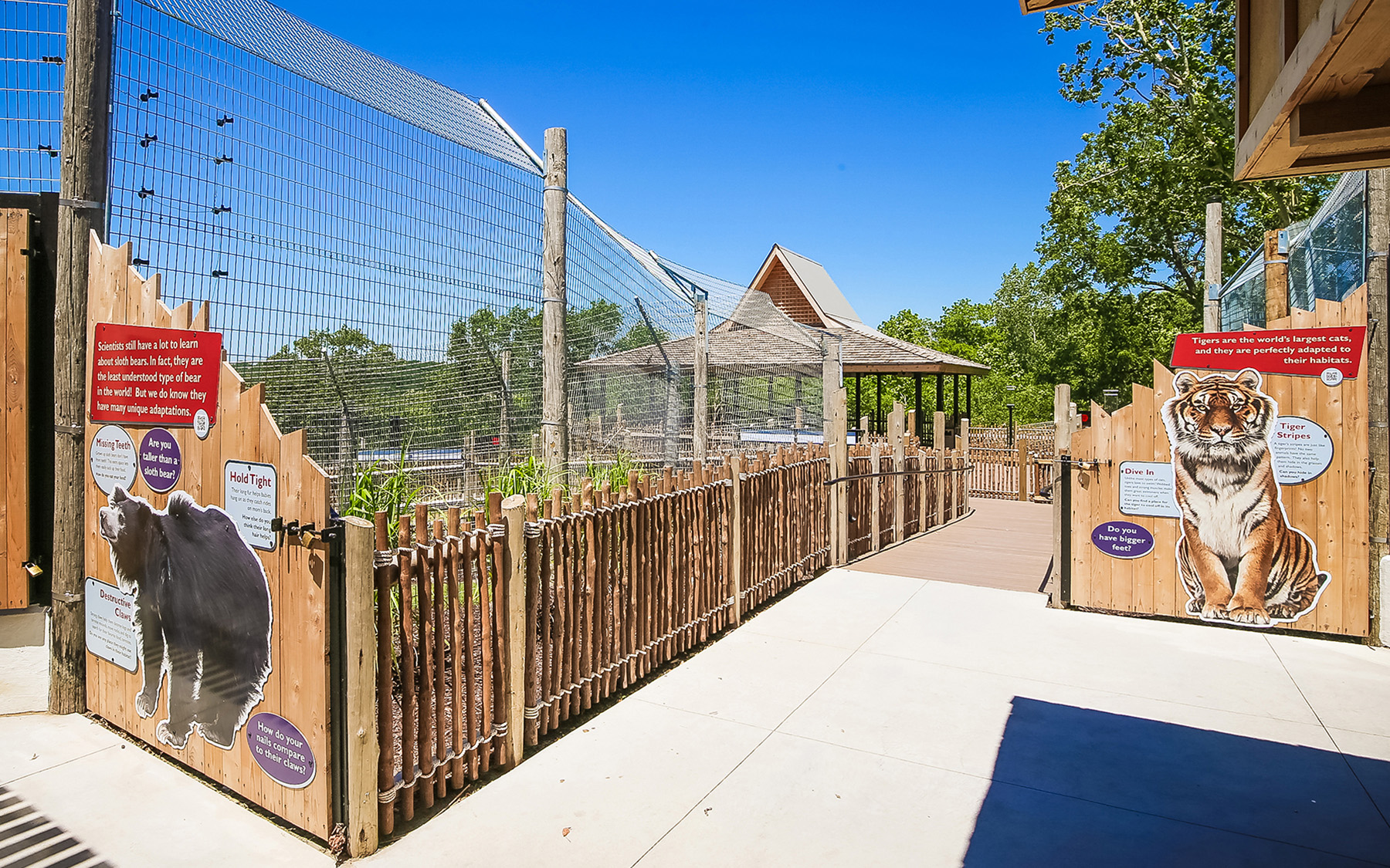 Sunset Zoo | Expedition Asia