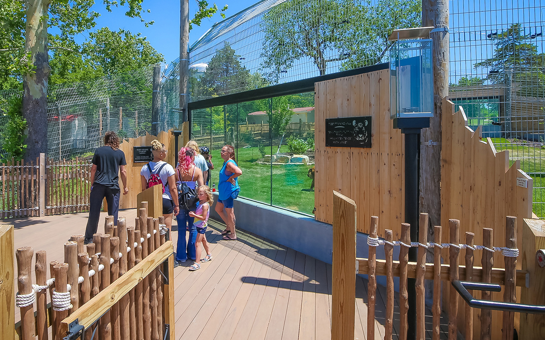 Sunset Zoo | Expedition Asia