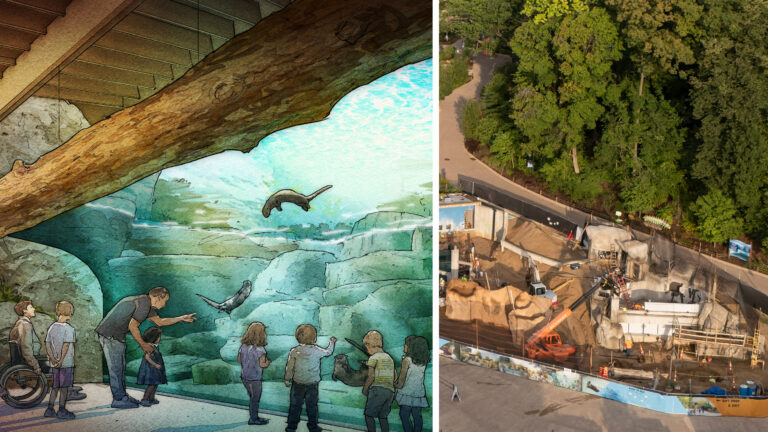 Inside John Ball Zoo’s Sustainable River Otter Habitat – When Sustainability Isn’t a Checkbox