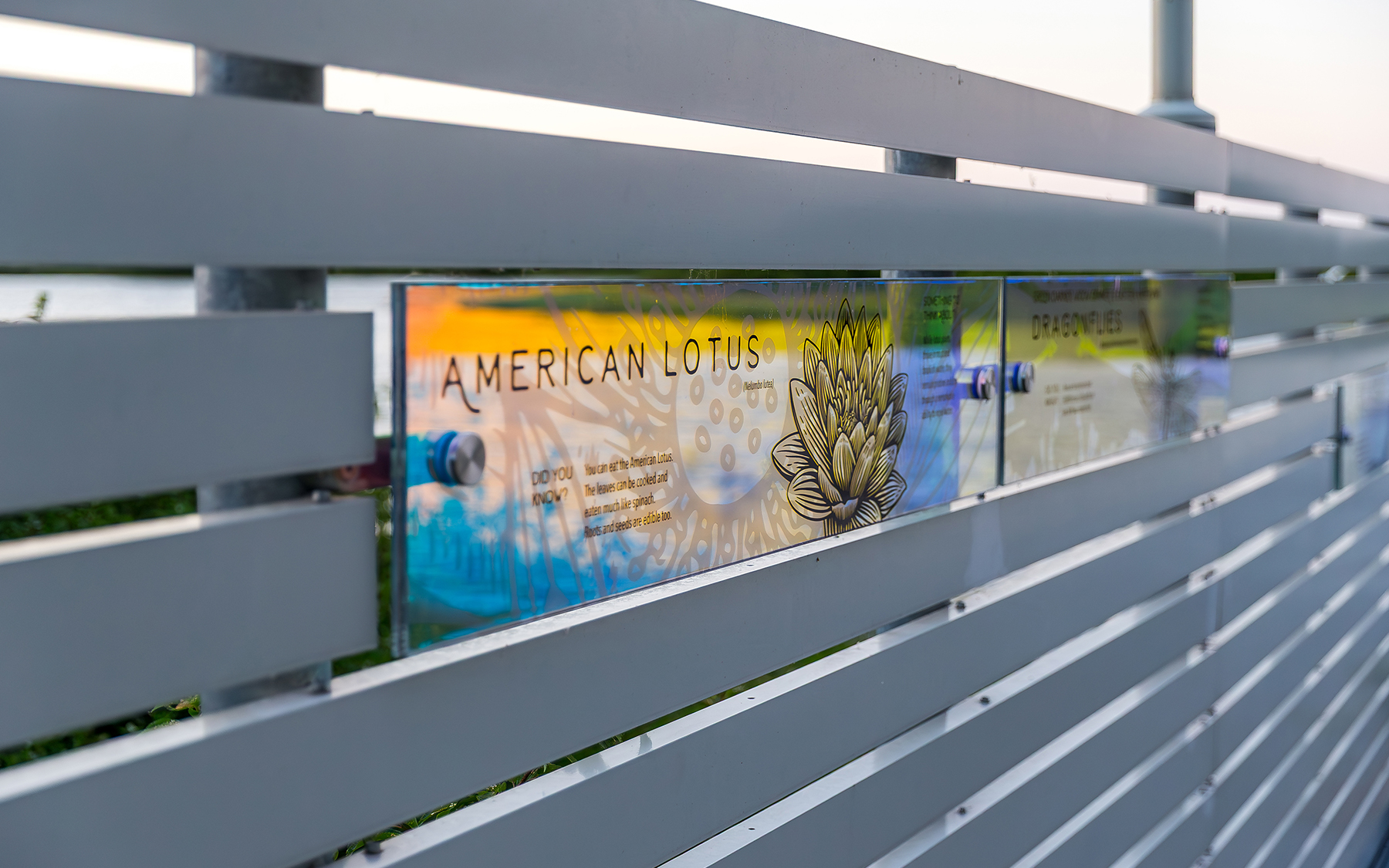 Pracht Wetlands Park Educational Signage