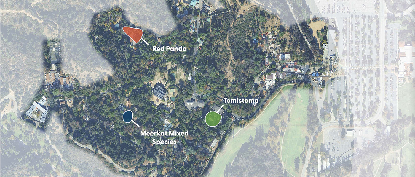 LA Zoo adaptive reuse header